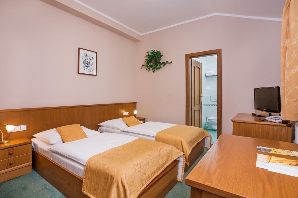 Hotel Jelinkova Vila Velké Meziříčí Kamer foto